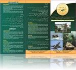 ماهي صادات هذه؟